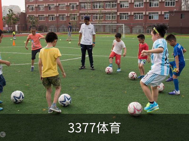了解3377体育